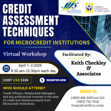 CREDIT ASSESSMENT TECHNIQUES FOR MICROCREDIT INSTITUTIONS